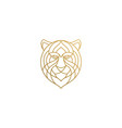 outline head gorgeous tiger hand drawn vector image