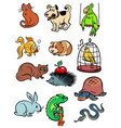 pets animals collection set icons symbols vector image