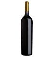 red wine bottle vector image