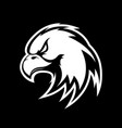 furious eagle sport logo concept isolated vector image vector image