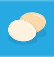 chicken eggs with shadow egg breakfast vector image vector image