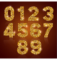 digits golden vector image vector image