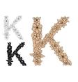 dainty floral letter k with decorative foliage vector image