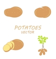 potatoes icons set vector image