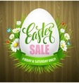 easter sale background with eggs and spring flower vector image vector image