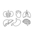 set of isolated internal human organ lineart icon vector image