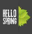 hello spring lettering with hand drawn letters vector image vector image