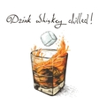 ice falls in whiskey vector image