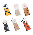 cat paw domestic and wild animals cute little vector image vector image