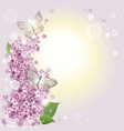 floral background with butterflies and a lilac vector image vector image