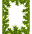frame of fir branches vector image