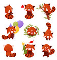 cartoon red panda character doing different vector image