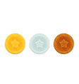 coins with the image of star gold silver vector image