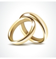 gold wedding rings isolated vector image