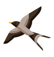 stylized swallow image of wild vector image