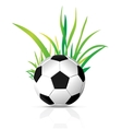 soccer ball vector image