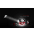 seasonal sale banner template for black vector image