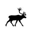 silhouette a running reindeer image vector image