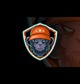 gorilla head logo for sport club or team animal vector image