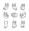 cute cartoon cat icons set on white background vector image vector image