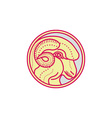 merino ram sheep head circle mono line vector image vector image