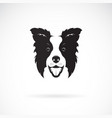 a border collie dog on white background pet vector image vector image