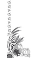 thanksgiving border vector image