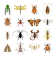 colorful insects icons collection vector image
