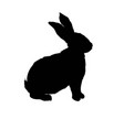 rabbit silhouette vector image