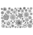 hand drawn flowers vector image