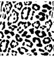 leopard pattern vector image