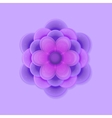 lilac purple flower vector image