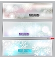 set of elegant winter banners vector image