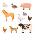 different domestic animals on farm geese ducks vector image vector image