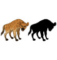 hyena characters and its silhouette on white vector image
