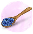 watercolor wooden spoon full blueberries vector image vector image