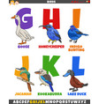 educational alphabet set with cartoon birds vector image vector image