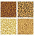 seamless leopard pattern set design animal print vector image