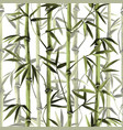 bamboo seamless vertical border on white vector image vector image