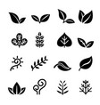 leaf plant herb vegetarian icon set vector image