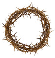 crown thorns color artistic graphic drawing vector image vector image