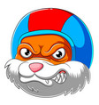 angry bunny wearing helmet racer vector image vector image