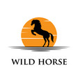 black horse silhouette logo with sunset background vector image