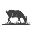 goat side view in the grass vector image vector image