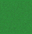 abstract green grass seamless texture vector image