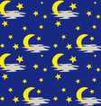 night sky pattern vector image vector image