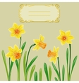 card with easter daffodil in center and frame vector image
