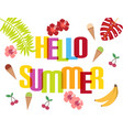 hello summer background with tropical leaves vector image