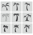 black palm icons set vector image vector image