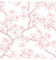 cherry blossom background seamless flowers pattern vector image